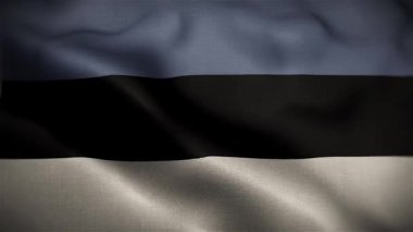 Estonya Rüzgarda Dalgalı Bayrak