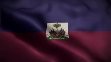 Rüzgardaki Haiti Dalgalı Bayrağı Yavaş Hareket Eden Resmi Bayrak