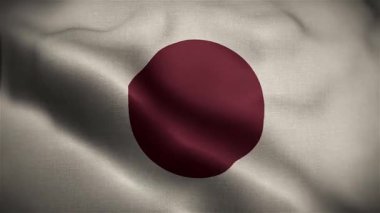 Japonya Rüzgarda Dalgalı Bayrak Yavaş Hareket Eden Resmi Bayrak