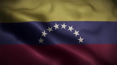 Venezuela Rüzgarda Dalgalı Bayrak Yavaş Hareket Eden Resmi Bayrak