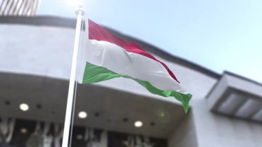 Macaristan Dalgalanan Resmi Bayrak Biçimi