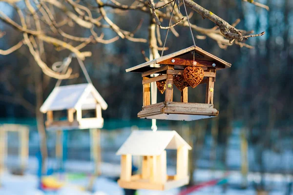 Домики Зимних Птиц — стоковое фото
