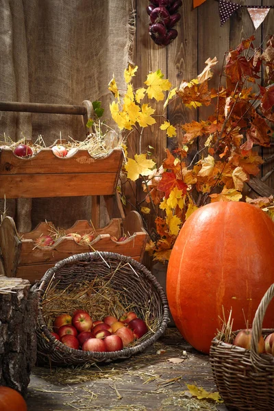 Decoração Outono Feno Abóboras Presentes Outono — Fotografia de Stock