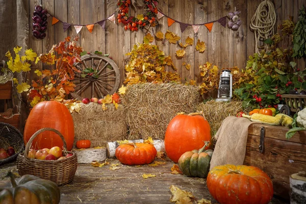 Decoração Outono Feno Abóboras Presentes Outono — Fotografia de Stock
