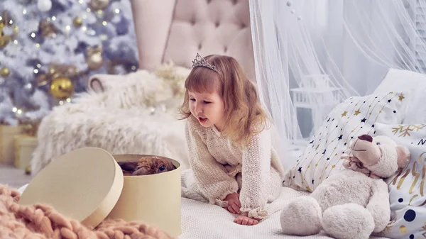 Anak Mendapat Hewan Peliharaan Untuk Natal Ruangan Anak Anak Dihiasi — Stok Foto