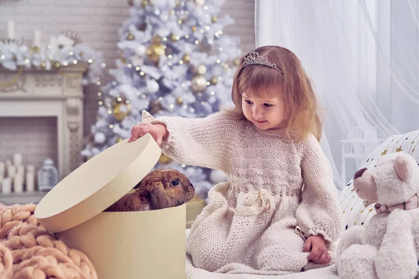 아이는 크리스마스에 동물을가지고 침실은 크리스마스 상자를 엽니다 놀람입니다 꿈에서 적용된 — 스톡 사진