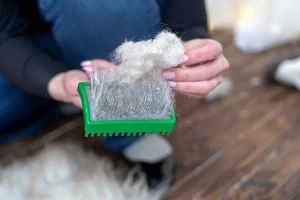 Шерсть из шерсти животных с расчёской и расчёской — стоковое фото