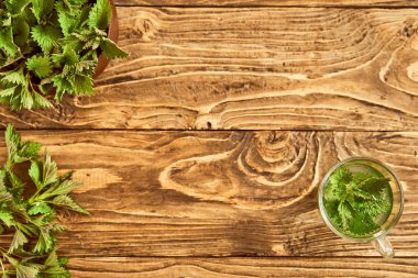 ahşap bir arka plan üzerinde demlenmiş genç ısırgan ile bir cam. Med