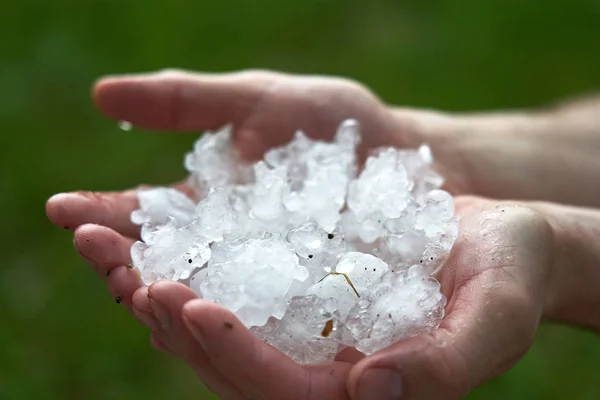 Stora bitar av is hagel i handflatan. man som innehar en — Stockfoto