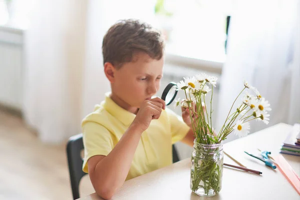 El chico hace su tarea en casa. niño feliz en la mesa con —  Fotos de Stock