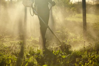 Çim düzeltici biçmek için çalışır. uzun çim biçme süreci 