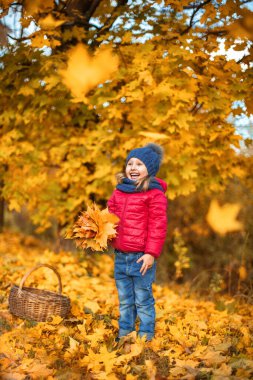 Sarı akçaağaç yapraklı gülen küçük kız. Bebek, sarı sonbahar yaprakları ellerinde buketleriyle doğal renklerde duruyor. Üst sonbahar elbiseli çocuk yapraklara bakıyor.