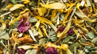 Kokulu bitki çayı. Doğal kuru yapraklar. Makro görüntü. Tahsilat. Kapatın. Sağlıklı bir yaşam tarzı. Cesedi temizliyorum. alternatif tıp ve doğal gıda.