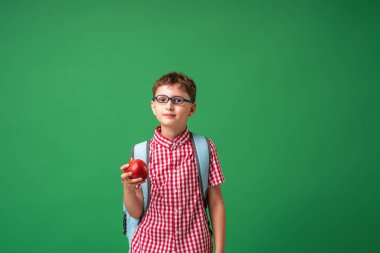 Akıllı, ciddi okul çocuğu elinde bir Apple tutuyor, arka plandaki tahtaya karşı duruyor. Meraklı bir çocuk okula döndüğü için mutludur. Yeşil bir arka planda izole edilmiş. Okula geri dön..