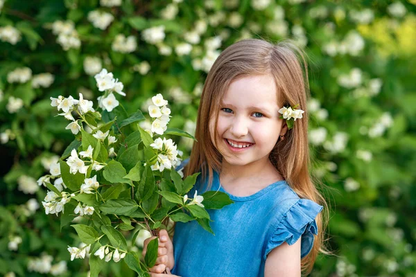 Encantadora Menina Anos Farejadores Flores Jasmine Jardim Verão Ensolarado Uma — Fotografia de Stock