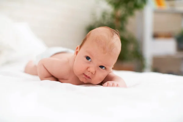 plump Caucasian baby of 4 months with a diathesis on his head, lying on his stomach on a soft knitted blanket and looking away. A small child learns to crawl. Allergies in children. A copy of space.