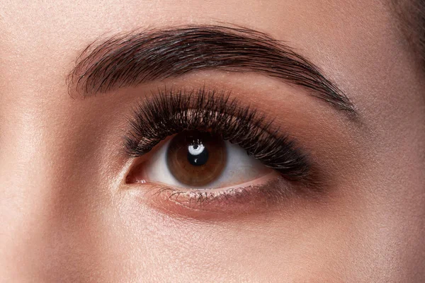 Beautiful macro photography of a woman\'s eye with extreme makeup of long lashes. Perfect long lashes, imitation. Rejection of cosmetics. Close-up fashion eye makeup, eyebrow lamination is beautiful