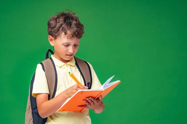 Розумний Уважний Школяр Тримає Книгу Записує Щось Ній Дитина Ходить — стокове фото