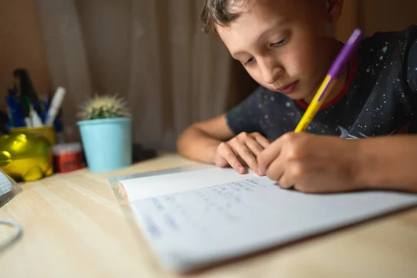 Scolaro Capace Anni Scrive Entusiasta Tavola Ragazzo Sorridente Felice Fare — Foto Stock