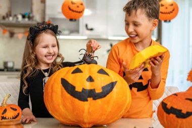 Mutlu çocuklar, erkek ve kız kardeşler masaya oturur ve balkabaklarından bir örümcek çıkarırlar. Gülüyorlar, örümceği gösteriyorlar, Cadılar Bayramı 'nı evde kutlarken birbirlerini korkutuyorlar..