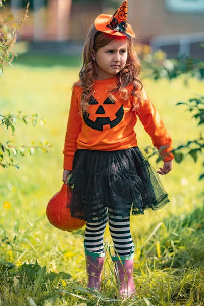 Menina Traje Bruxa Para Halloween Com Uma Abóbora Laranja Suas — Fotografia de Stock