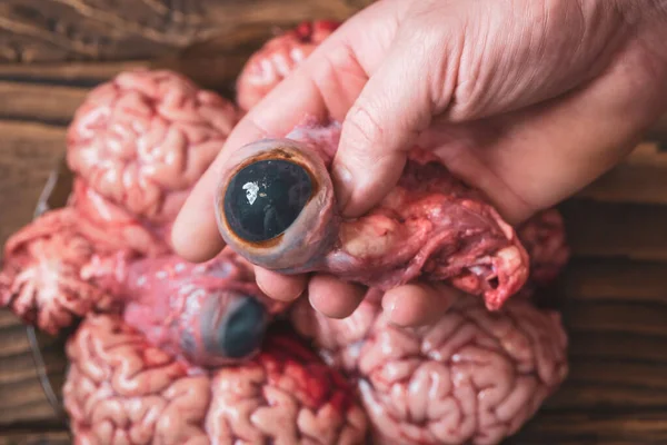 A human hand holds the eyes of a cow against a pink brain background before cooking on dark glass plate standing on a wooden table. Raw fresh brain and eyes mammalian animal, a cow. Raw meat. Gut.