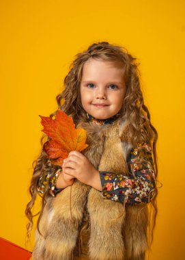 6 yaşında, elinde akçaağaç yaprağı olan, uzun kıvırcık saçlı, uzun kıvırcık saçlı, tatlı beyaz bir kız sarı bir arka planda duruyor. Sonbahar resmi.