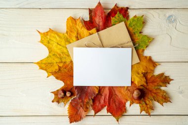 Sonbaharda mektup. Sonbahar romantik bir zamandır. Yaratıcı üst görünüm düz sonbahar konsepti. Beyaz ahşap zemin üzerinde kurumuş parlak yapraklar. Şükran Günü düğün davetiyeleri.