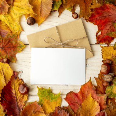 Sonbaharda mektup. Sonbahar romantik bir zamandır. Yaratıcı üst görünüm düz sonbahar konsepti. Beyaz ahşap zemin üzerinde kurumuş parlak yapraklar. Şükran Günü düğün davetiyeleri.