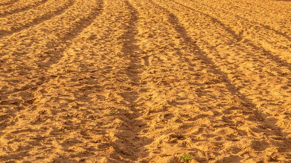 Kumsalda güneşli bir günde