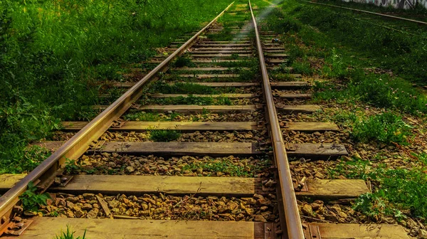 Çimlerin üzerinde eski raylar