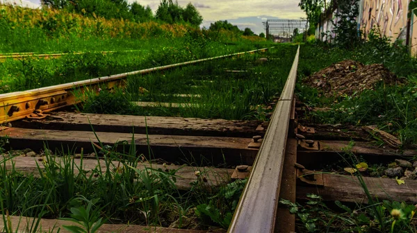 Oude Rails Een Achtergrond Van Gras — Stockfoto