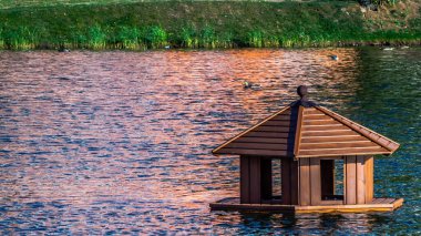 Sudaki ördekler için ev