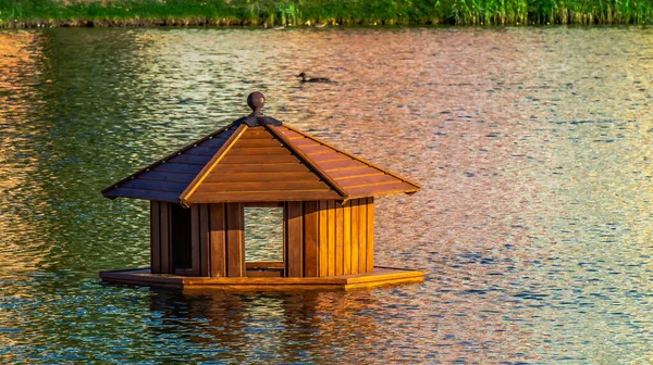 House Ducks Water — Stock Photo, Image