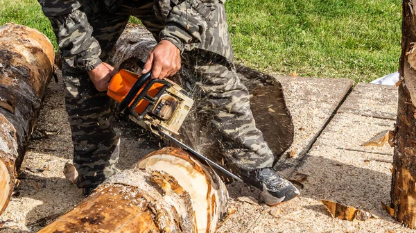 Kereste, bir adam elektrikli testereyle ağaç keser.