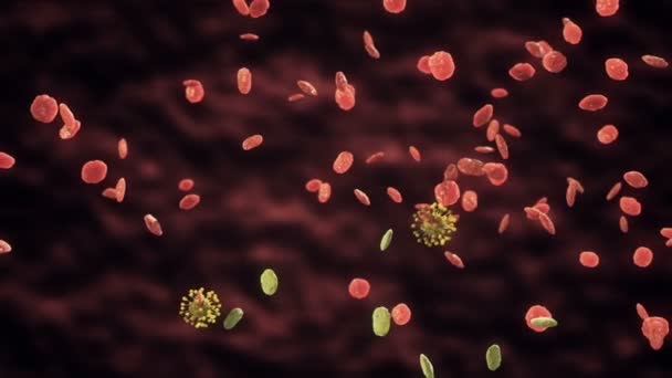 Virus of bacterie cel infectie verspreiden — Stockvideo