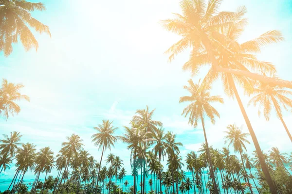 Palm Trees Vintage Toned Fashion Travel Summer Vacation Tropical Beach — Stock Photo, Image