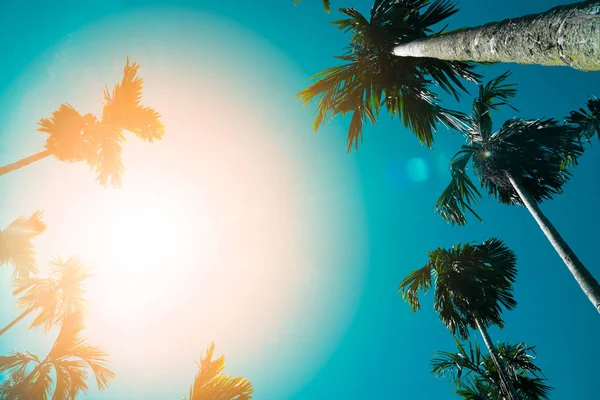 ヤシの木のビンテージ トーン ファッション 熱帯のビーチ 葉の緑の木の創造 — ストック写真