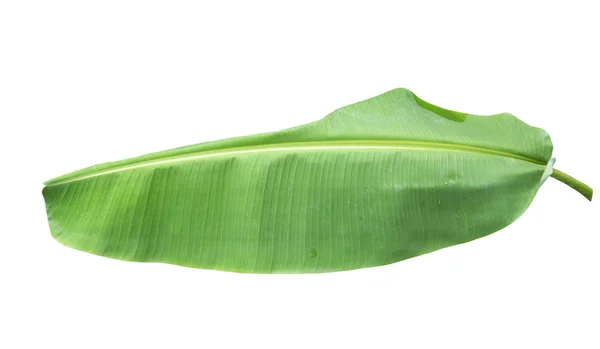 Feuille Banane Verte Texture Verte Feuillage Tropical Isolé Sur Fond — Photo