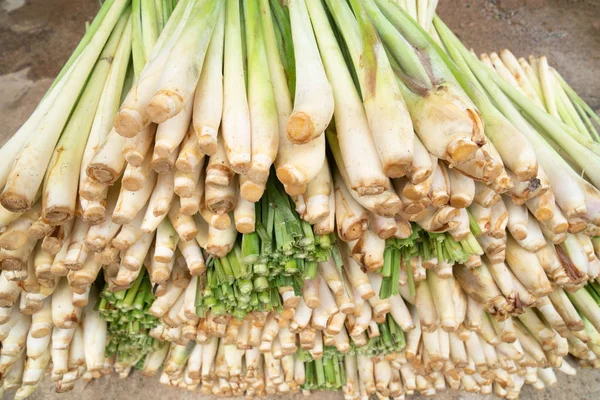 Close Many Fresh Lemongrass Texture Making Agriculture Cooking Concept — стоковое фото