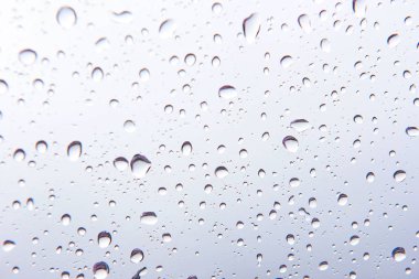 Su damlaları, beyaz arka plan üzerinde yağmur damlacıkları .