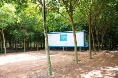 Bahçe arka planda ev konteyner nakliye yapılan Modern metal yapı .