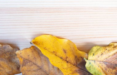 Ana sayfa görünümü sonbahar yaprak, ahşap masa, yaprakları sarı arka plan için ahşap tahta. ve alan, alan metin veya resim, düz lay için kopyalama .