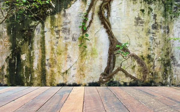 Pusty Pokój Brudne Ściany Bluszcz Zielony Drzewo Drewniane Podłogi Puste — Zdjęcie stockowe