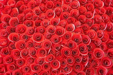 Güzel kağıt kırmızı gül arka plan  . 