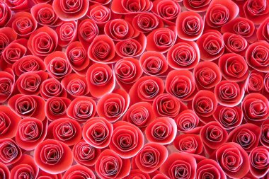 Arka plan için güzel kağıt kırmızı gül  . 