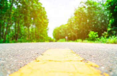 manzara , kırsal yol ve boş yolda .