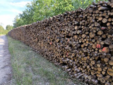 Uzun bir çam kütüğü duvarı, düzgünce istiflenmiş. Bazı kütüklerin uçlarında mavi ve kırmızı boya izleri var. Bu da odunların sıralanma ve kaynağını gösteriyor..