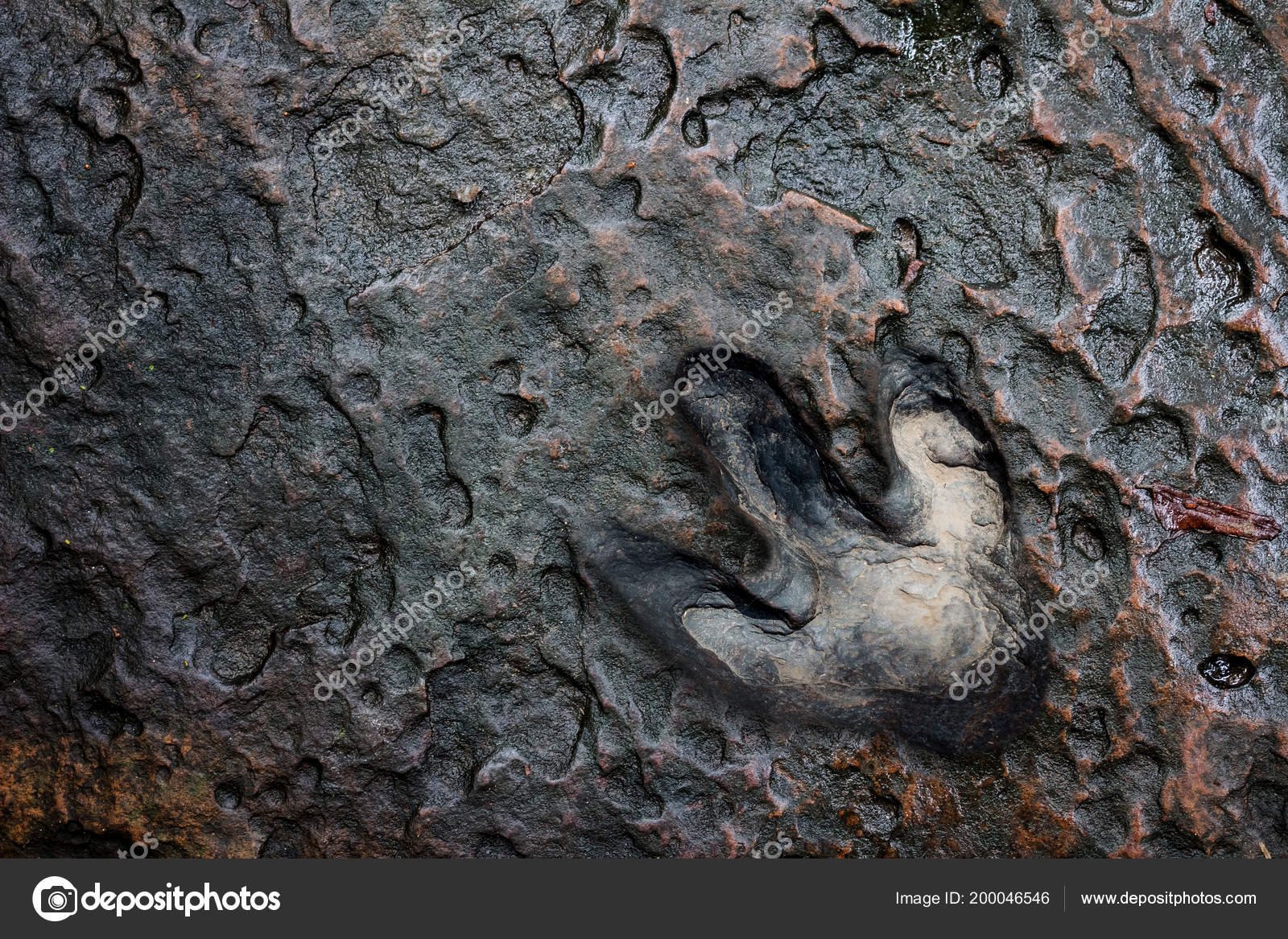 Real Dinosaur Footprint Thailand Stock Photo Releon8211 - 