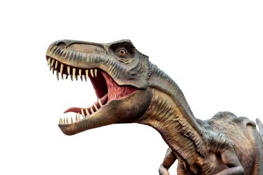 Beyaz arka plan üzerinde izole tyrannosaurus rex heykeli.